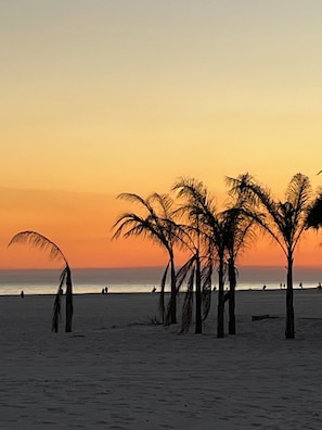 Une plage bordée de palmiers, avec un coucher de soleil.