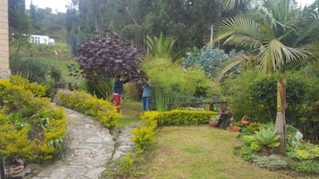 Áreas de la propiedad