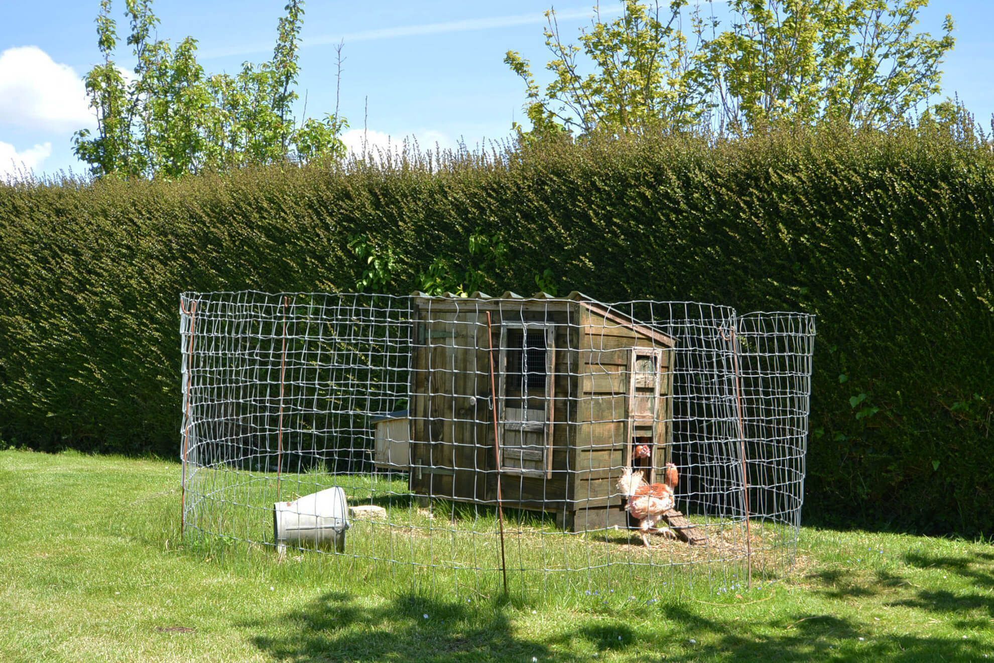 A small wooden coop surrounded by a wire fence, with a chicken visible inside.