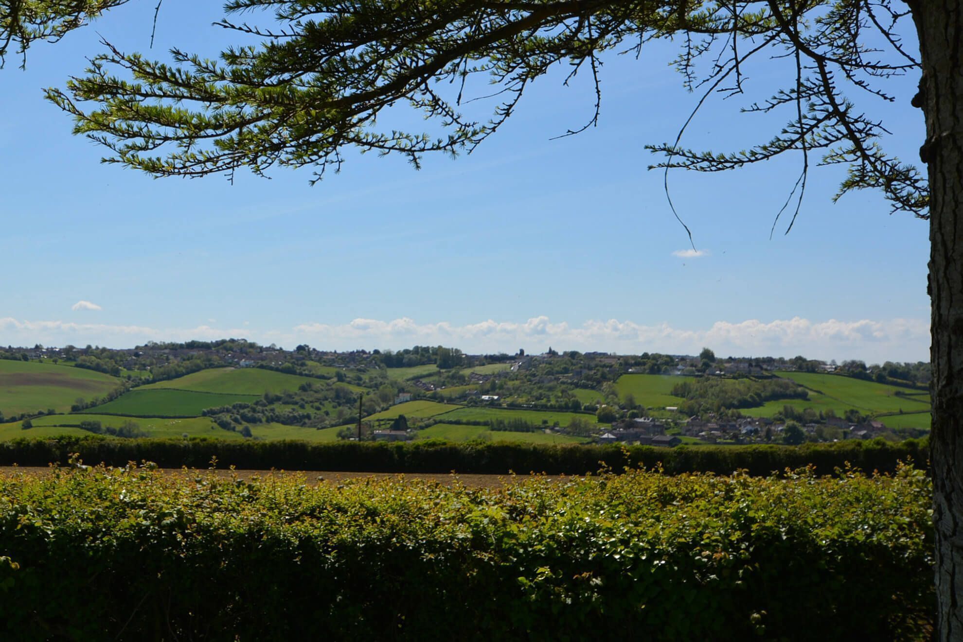 A rural landscape with rolling green hills, a small village, and a tree in the foreground.