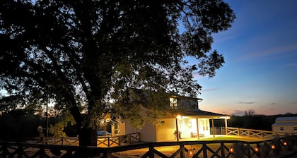Close to Baylor & Silos: 3 BR Home Pickleball Court, Ping Pong Table & Barn