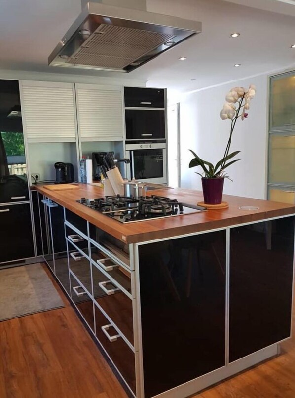 Fridge, oven, stovetop, dishwasher
