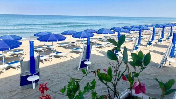 Une plage bordée de rangées de parasols bleus et de chaises longues.
