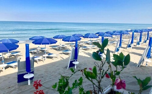 Callimaco's Home- Eden