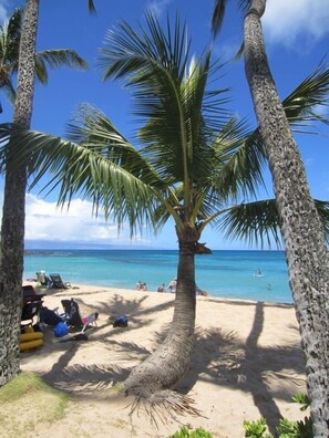 Playa en los alrededores 