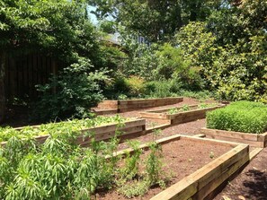 Property grounds - Enderly - c1859 - English Basement Apartment (Charlottesville)