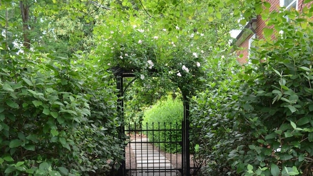 A paved pathway leading to a gated entrance surrounded by lush greenery. - Enderly - c1859 - English Basement Apartment (Charlottesville)