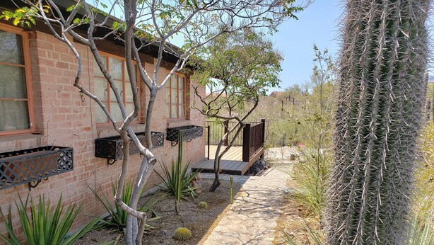 A brick building with a wooden deck, surrounded by various cacti and desert plants. - Tranquil Desert Retreat (Tucson)