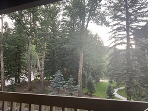 Property grounds - Ski-in/ski-out Beaver Creek Village Comfy + Modern Family Escape (Beaver Creek)