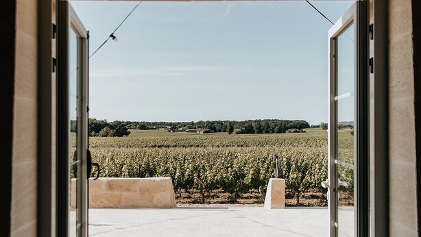 A doorway leading to a vineyard with a clear view of the rows of grapevines. - Château La Grande Clotte (Lussac)