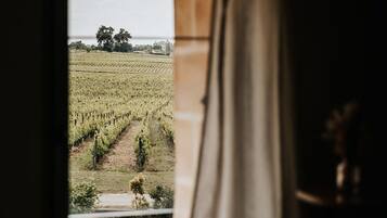 Une chambre avec une fenêtre donnant sur un vignoble.