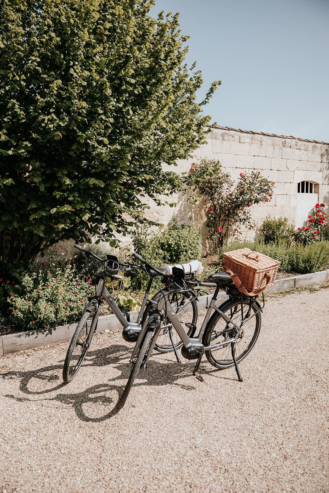 A bicycle parked on a gravel path with a basket attached, near a stone wall and lush greenery.