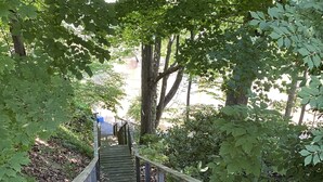A wooden staircase surrounded by greenery.