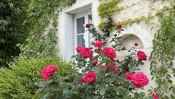 Jardin