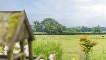 Área da propriedade