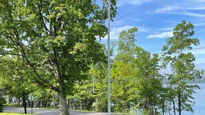 A flagpole with an American flag, surrounded by a grassy area with purple flowers and a large tree. - Fully Furnished Seneca Lake Lakefront Rental (Romulus)
