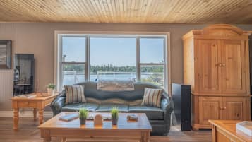 Smart TV, fireplace, DVD player, video library