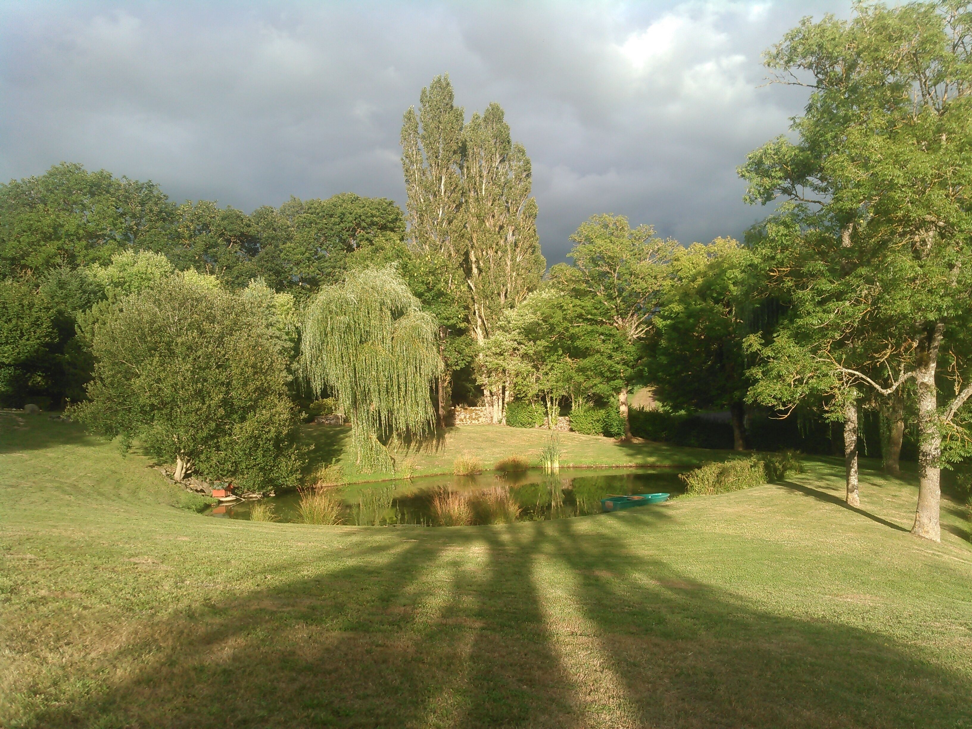 Taman