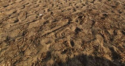 â„ïž-lich Willkommen im la Dolce Vita -charming house with garden and terrace -