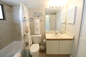 Bathtub, hair dryer, soap