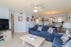 電視、DVD 播放機、書籍