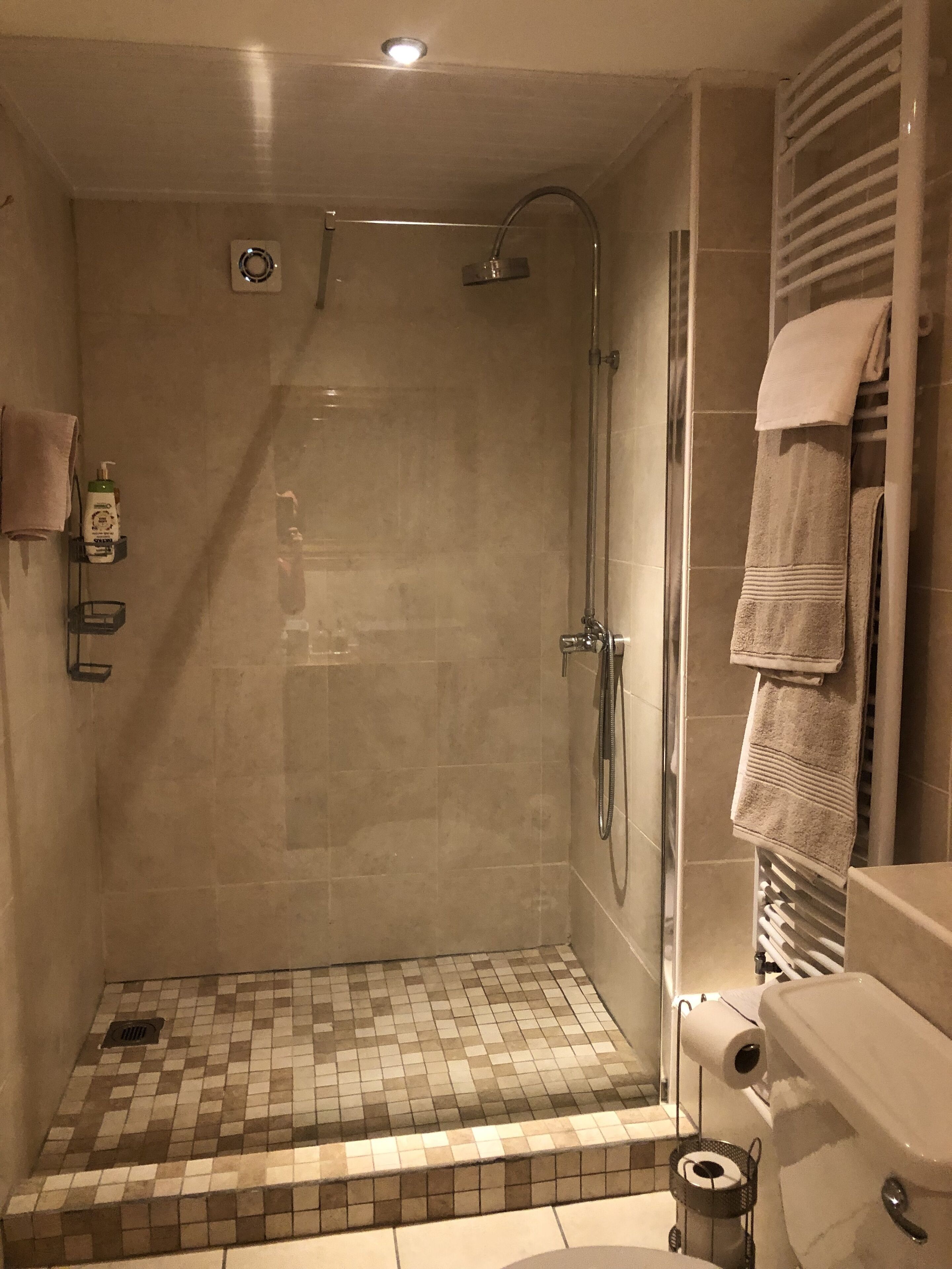 Shower, hair dryer, towels, soap