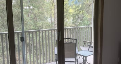 Condo Centrally Located- Mountain Side