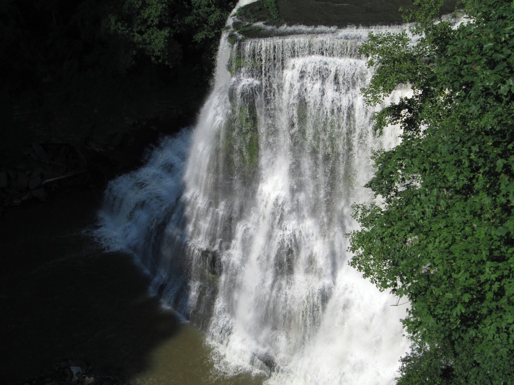 A waterfall cascading down a rocky cliff surrounded by dense greenery.