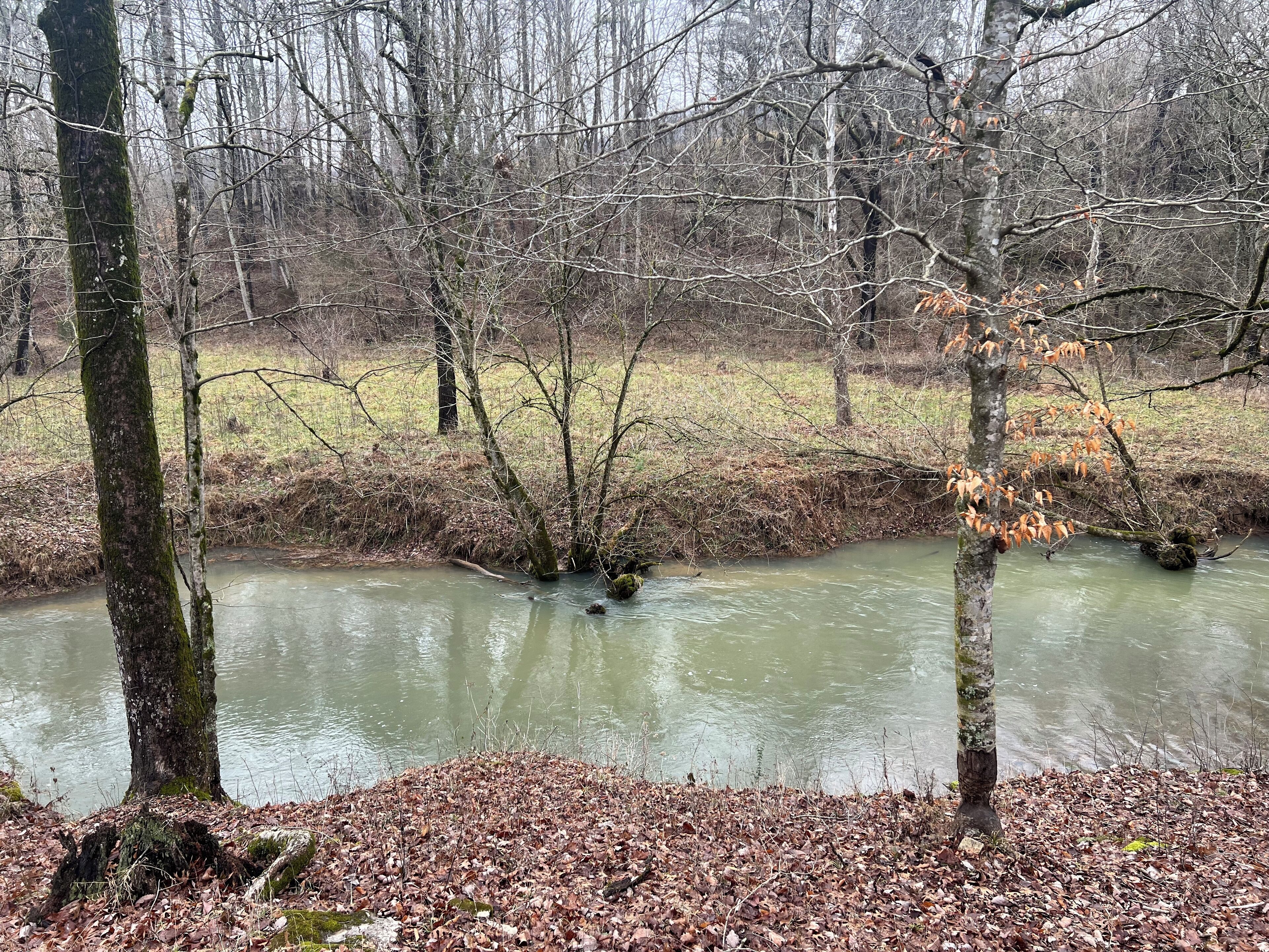 Un paysage naturel avec une rivière paisible, un sol recouvert de feuilles et des arbres.