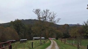 A gravel path leading to a fenced area with buildings in the background.