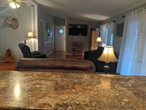 Smart TV, fireplace, books