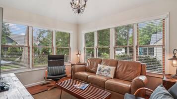 Smart TV, fireplace, DVD player, books