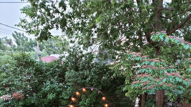 Ein Garten mit einem zentralen Weg, umgeben von verschiedenen Pflanzen und Blumen.