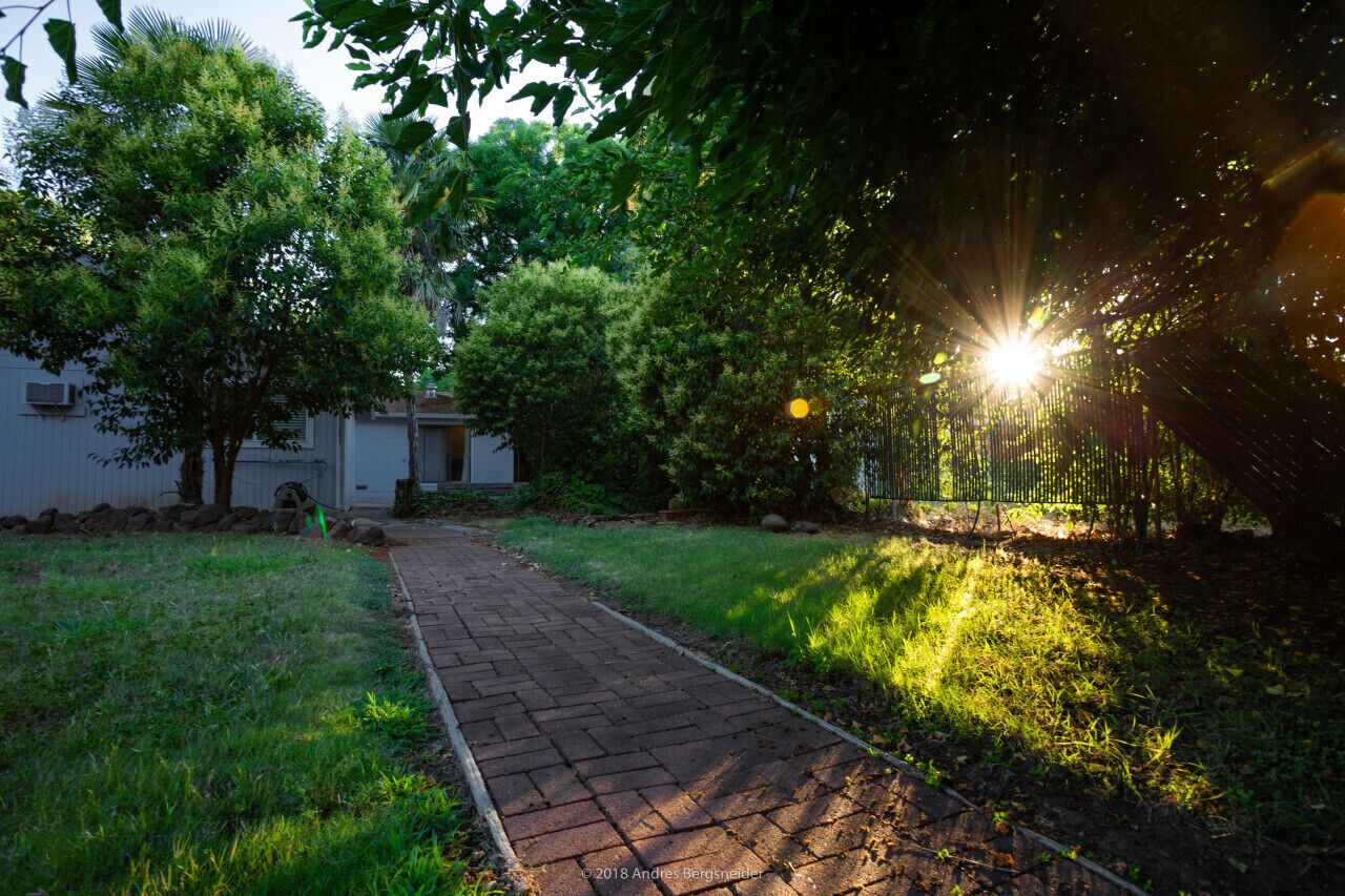 Um caminho pavimentado leva a uma casa com um pequeno galinheiro, cercada por vegetação exuberante e árvores.