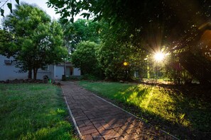 A paved pathway leading to a house with a small shed, surrounded by lush greenery and trees.