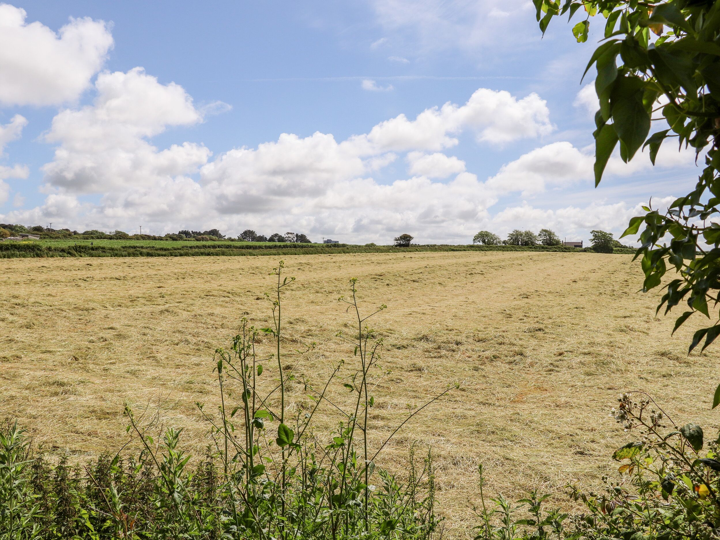 A vast, open field with sparse vegetation and a clear sky.