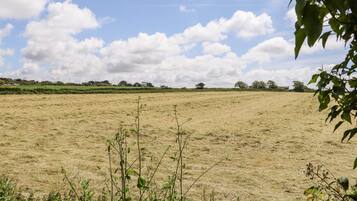 A vast, open field with sparse vegetation and a clear sky.