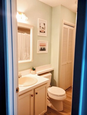 Bathtub, hair dryer, towels, soap