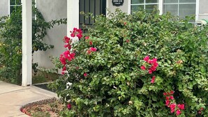 A residential building with a porch, a mailbox, and a visible address sign. - Country Living in the City (Mesa)