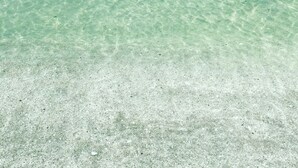 A clear view of a sandy beach with shallow water.
