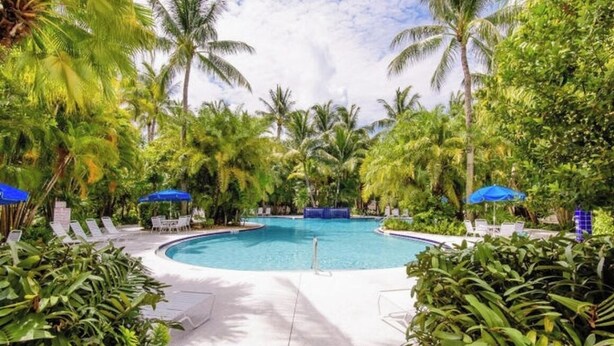 A pool surrounded by palm trees and lounge chairs with umbrellas. - Poolside Paradise in Key West Golf Club (Key West)