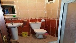Une petite salle de bain avec des toilettes, un lavabo et une douche.