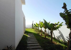 A pathway leading to a building with a white exterior, surrounded by banana plants and a clear sky.