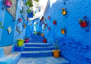 A narrow staircase with blue walls and colorful hanging pots. - Stunning multi-story villa in Chefchaouen 5263 (Chefchaouen)