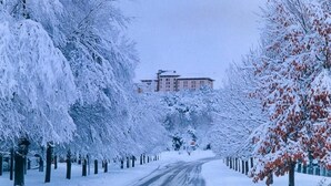 Uma estrada coberta de neve, ladeada por árvores e um edifício ao fundo.