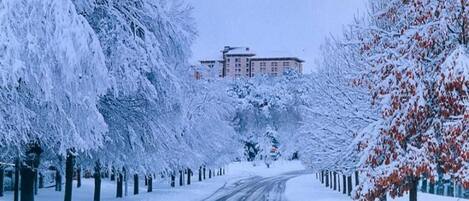 A snow-covered road flanked by trees and a building in the background.