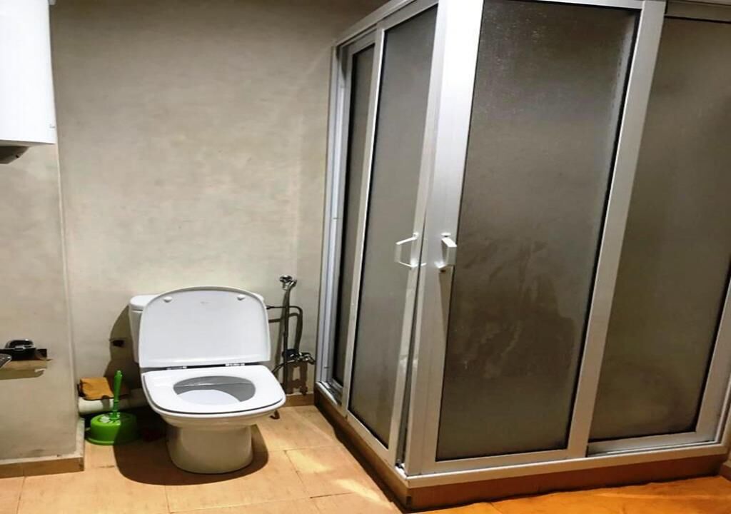 A bathroom with a toilet, a green cleaning brush, and a shower enclosure with frosted glass doors.