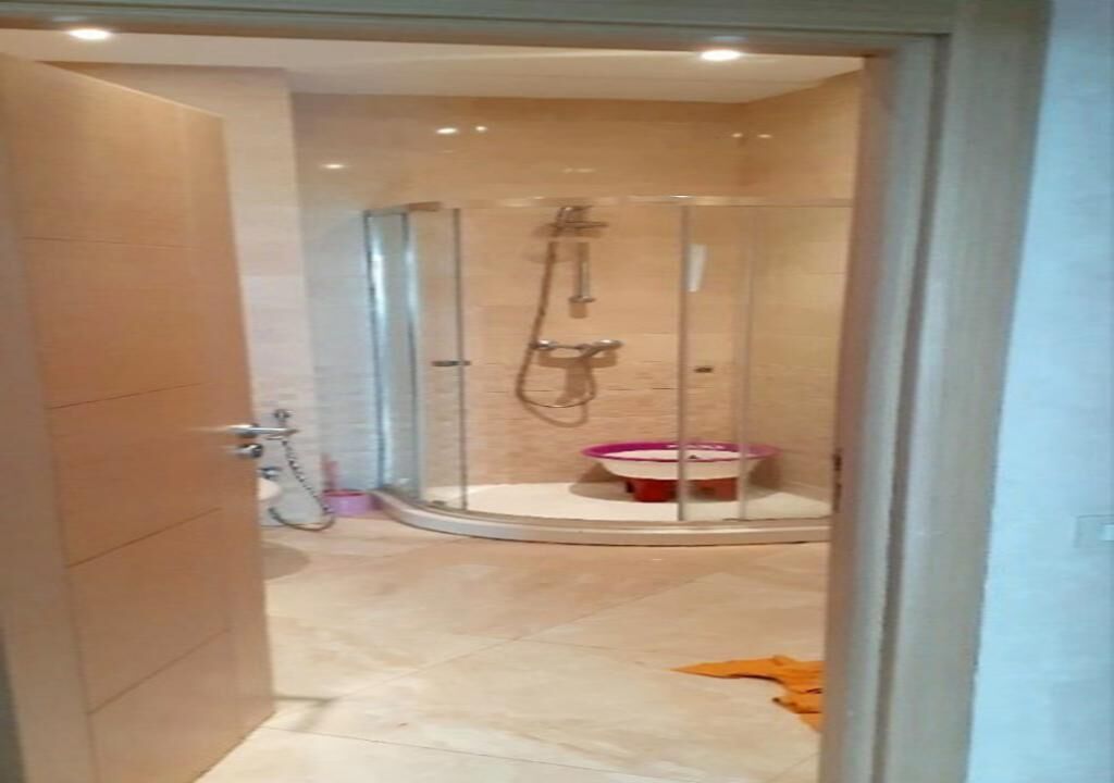 A glass-enclosed shower area with a handheld showerhead and a small pink and white basin.