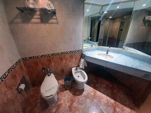 Shower, hair dryer, bidet, soap - Hotel Pal (Mexico City)