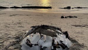Escena de playa con una disposición circular de botellas y una estructura de troncos.